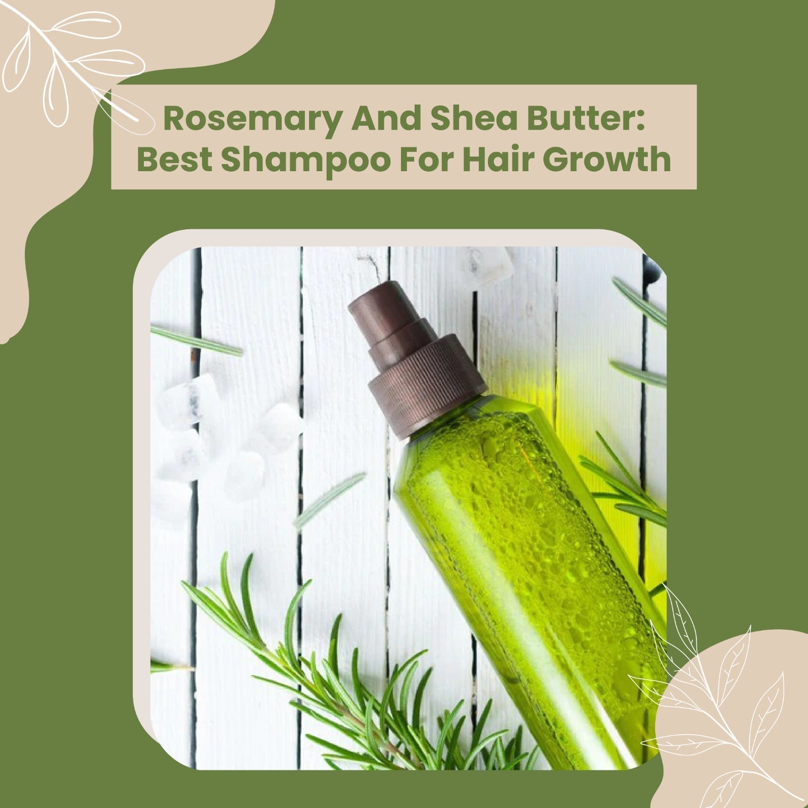 ROSEMARY AND SHEA BUTTER: BEST SHAMPOO FOR HAIR GROWTH