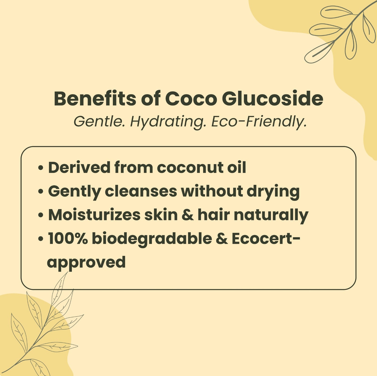 Benefits of Coco Glucoside