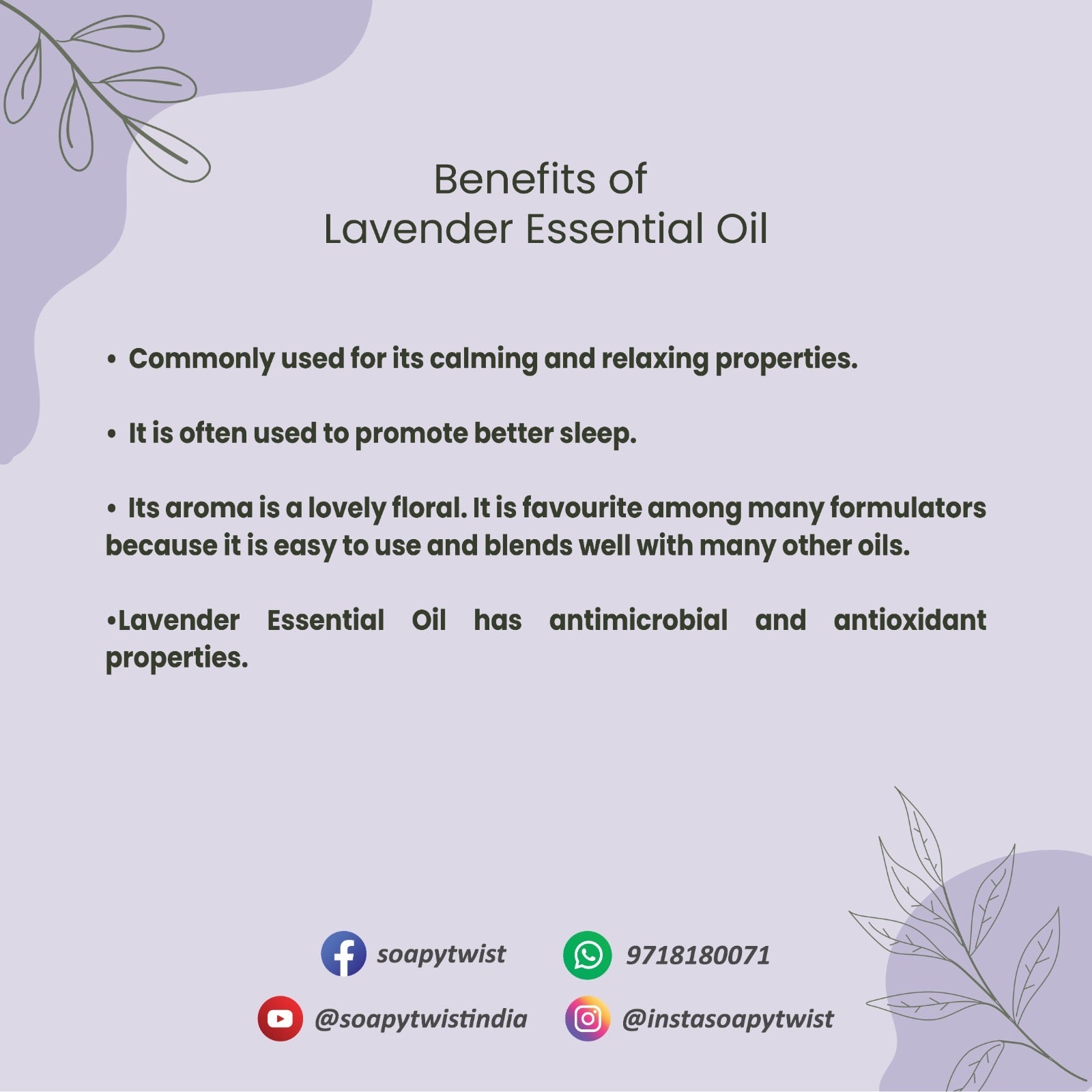 Benefits of French Lavender Essential Oil