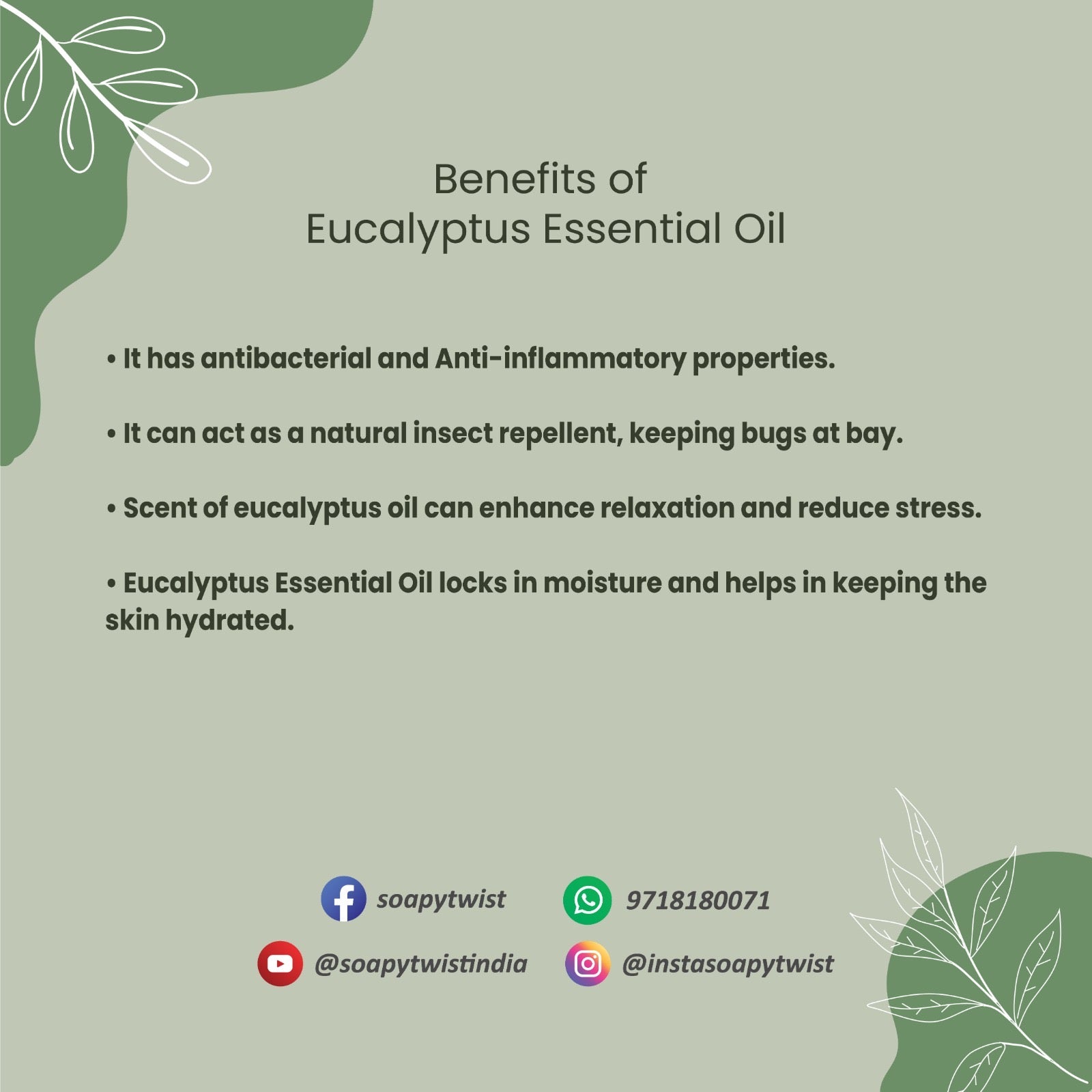 Benefits of Soapy Twist Eucalyptus Essential Oil
