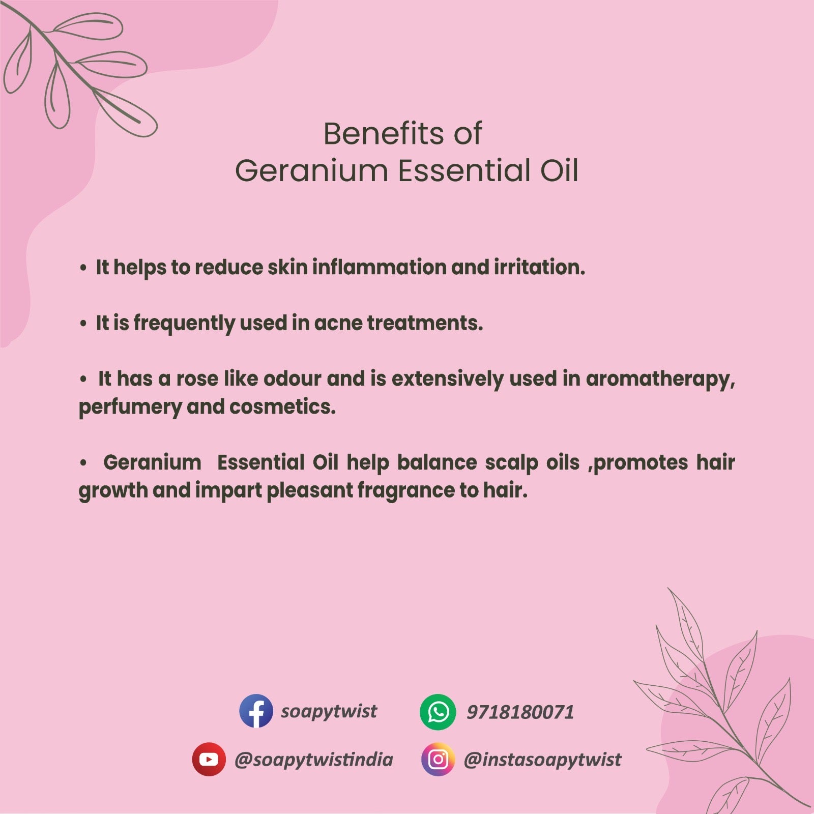 Benefits of Soapy Twist Geranium Essential Oil