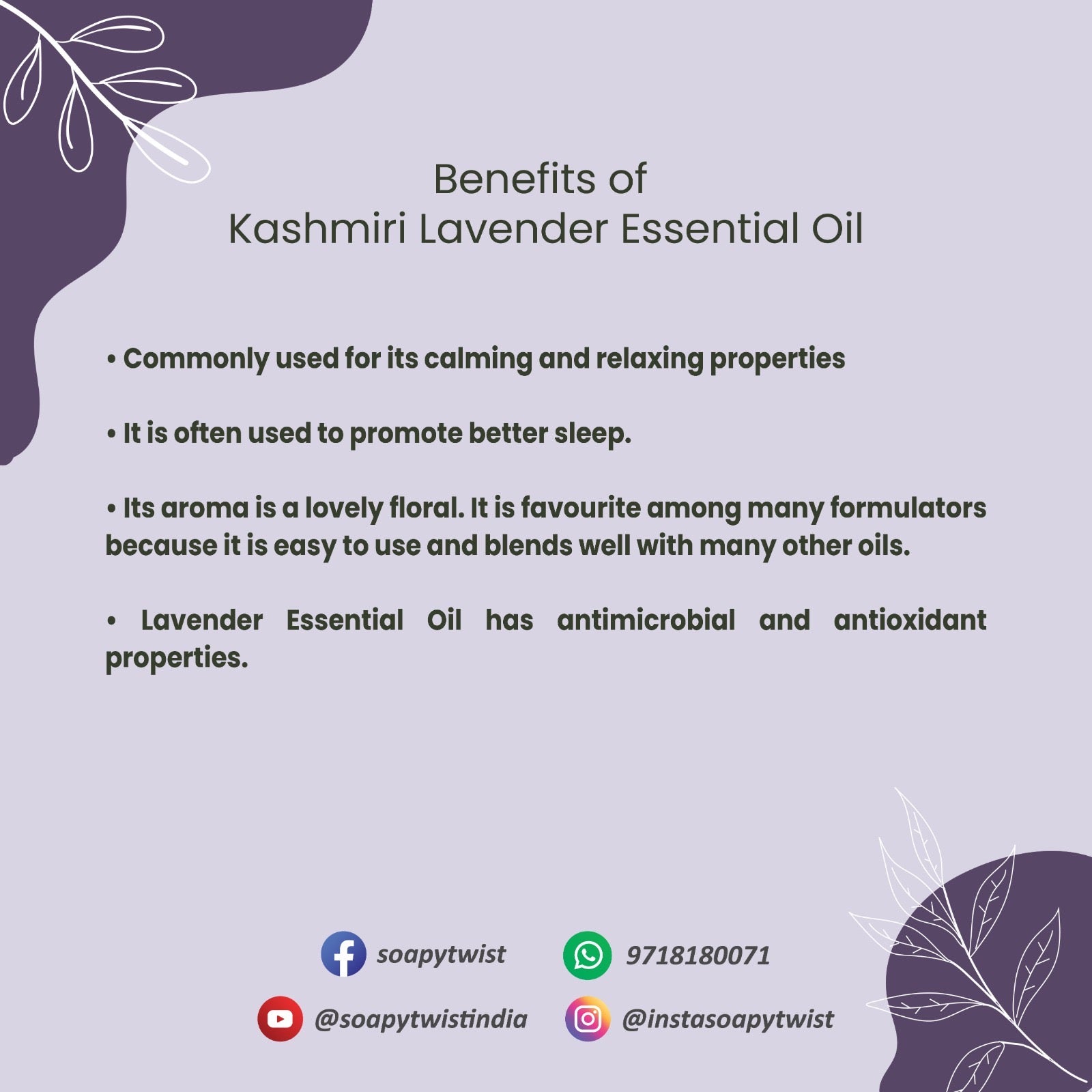 Benefits of Soapy Twist Kashmiri Lavender Essential Oil