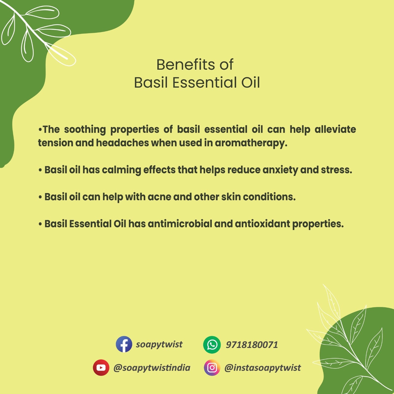 Soapy Twist Basil Essential Oil Benefits