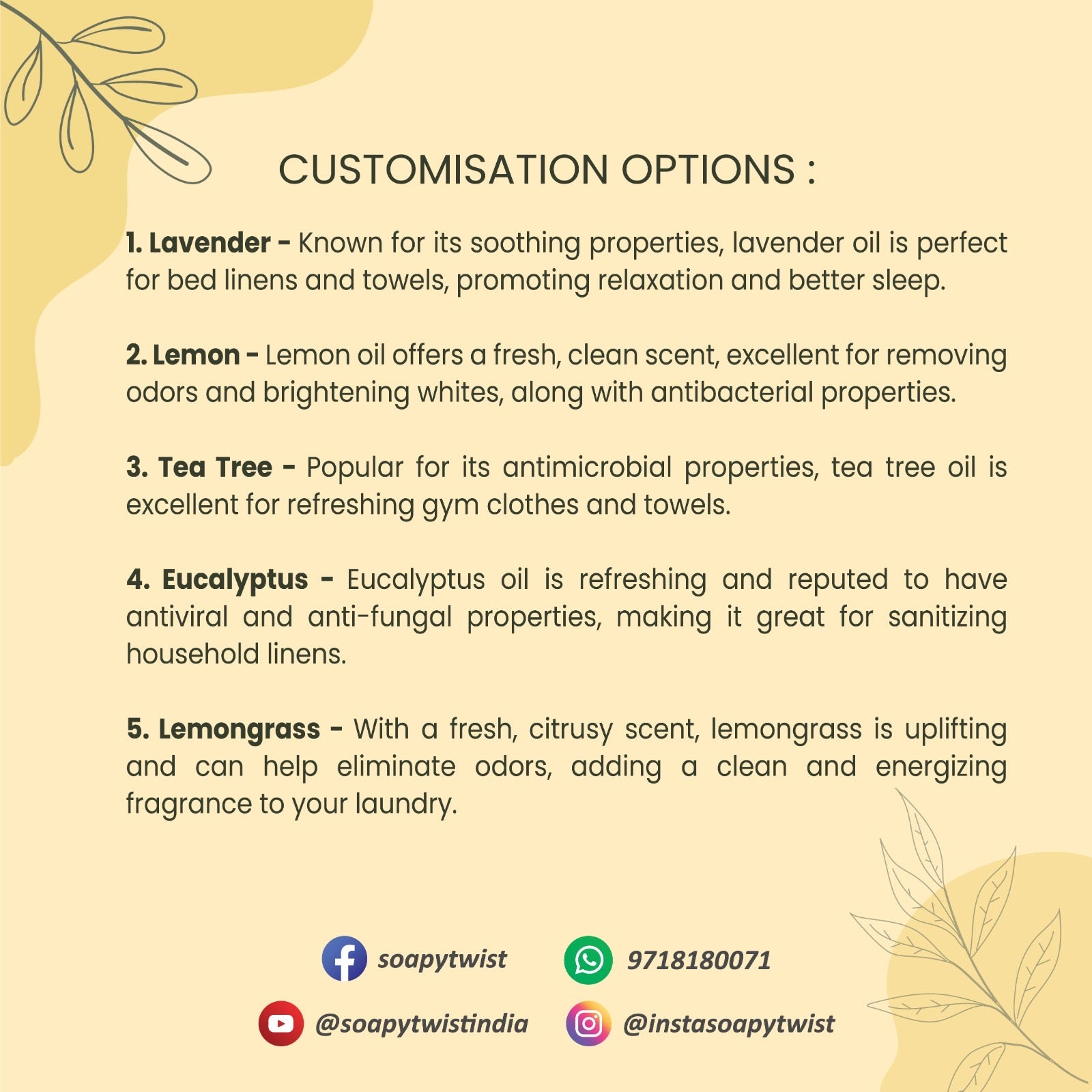 Soapy Twist Laundry Wash Base Sulfate Free (Eucalyptus) Customisation Opions