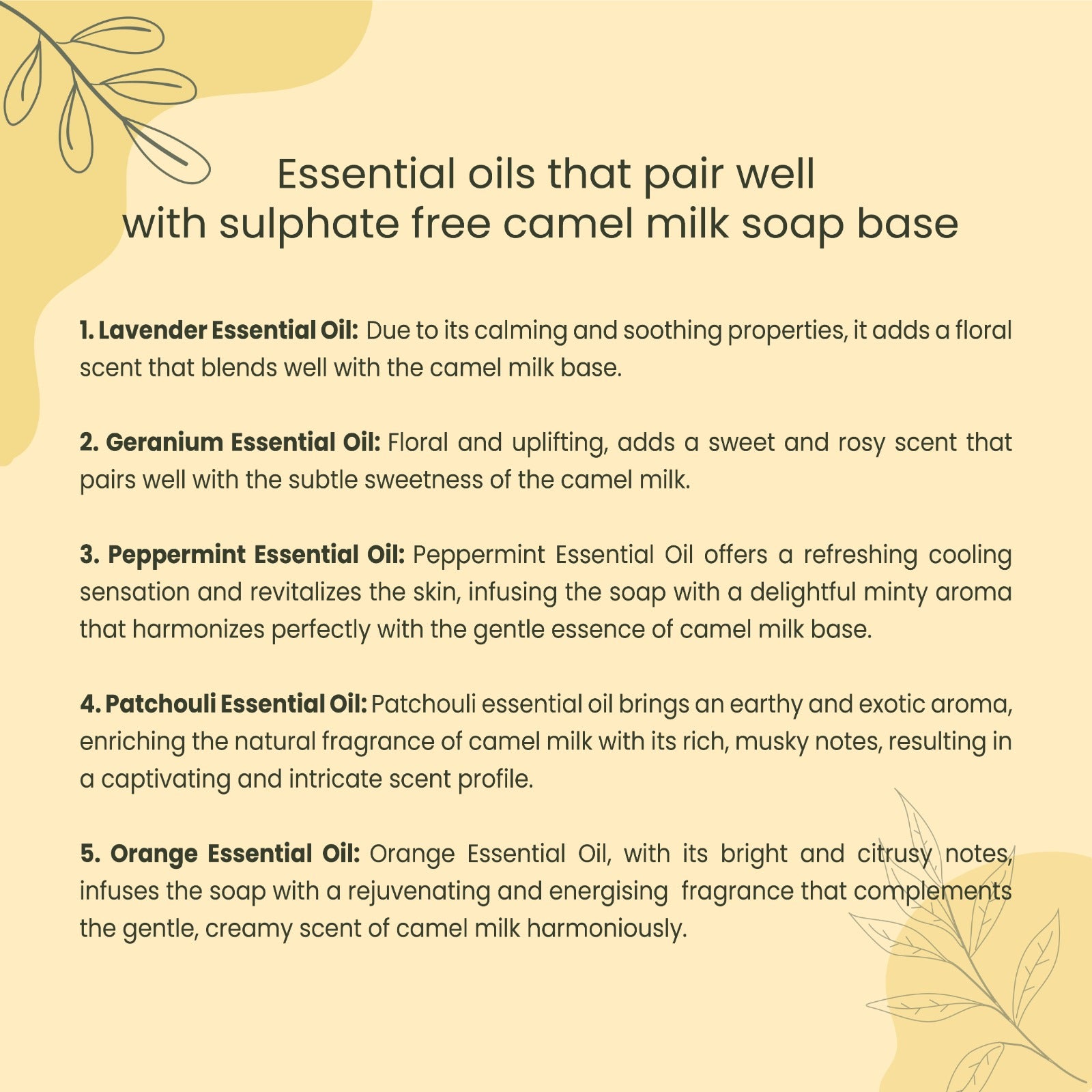 Sulfate Free Camel Milk Soap Base