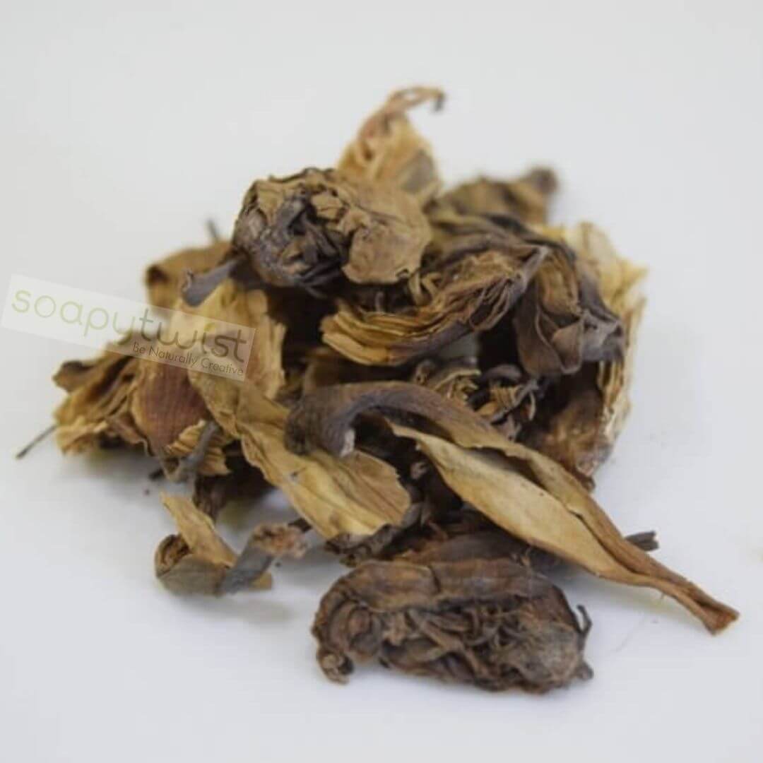 Premium Dried Lotus Flower