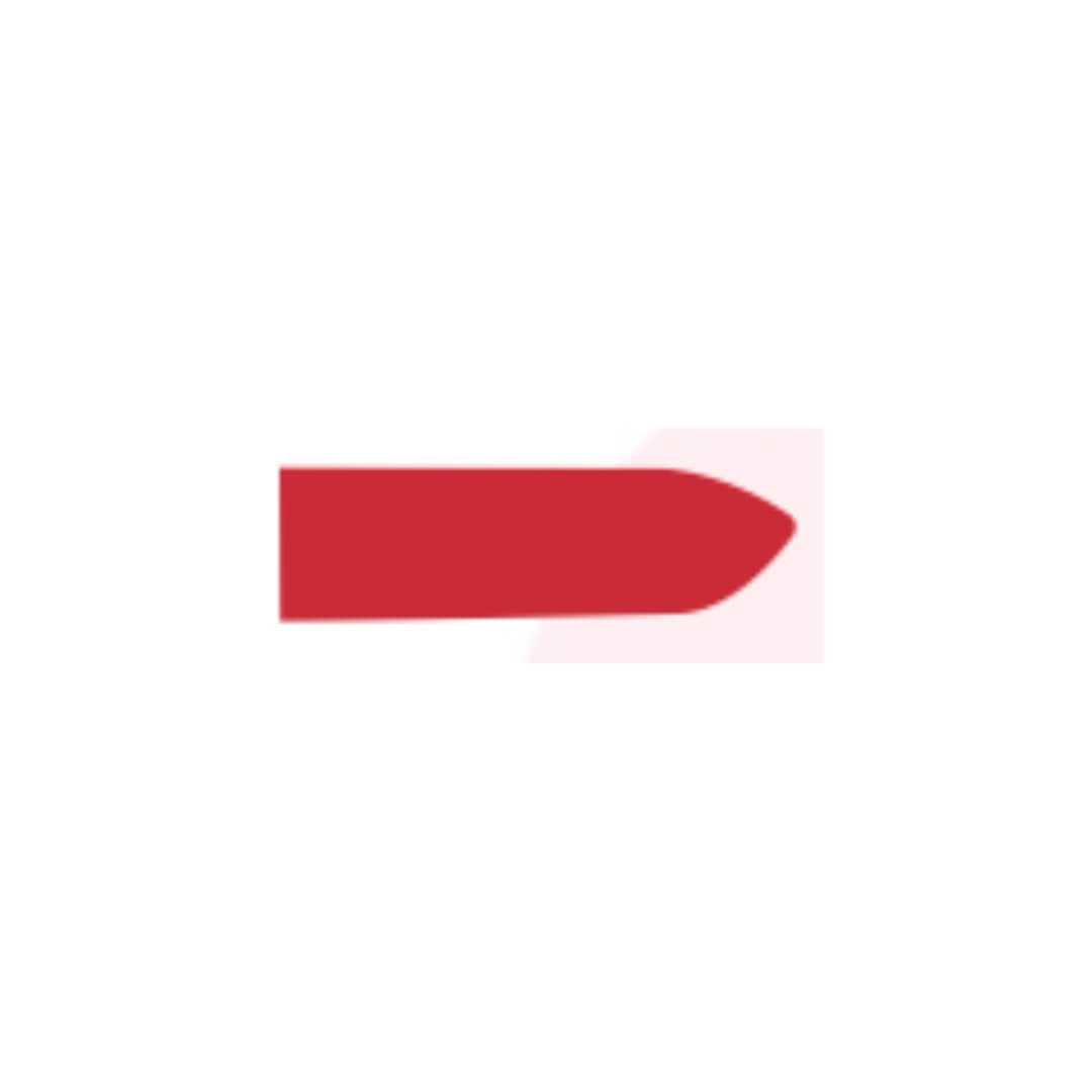 Elegant Red Paste Lip Colour
