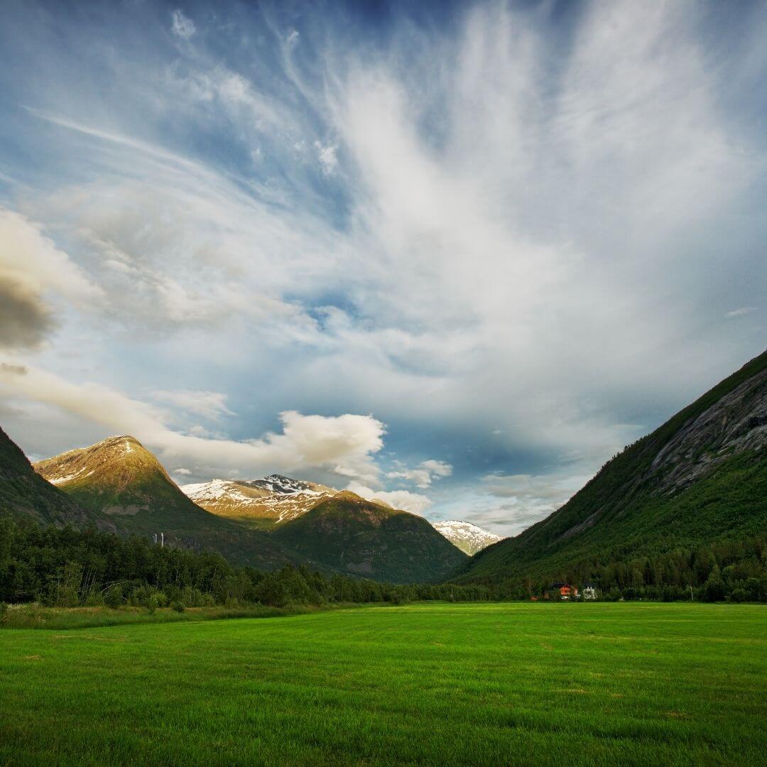 Exciting Meadow Fragrance Oil (Water Soluble)