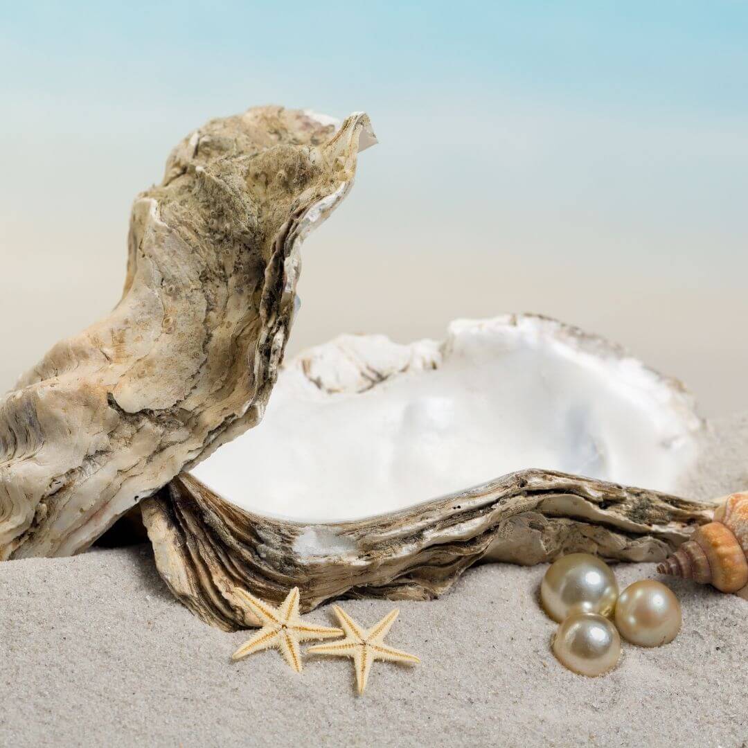 Pacific Ocean Pearl Fragrance Oil