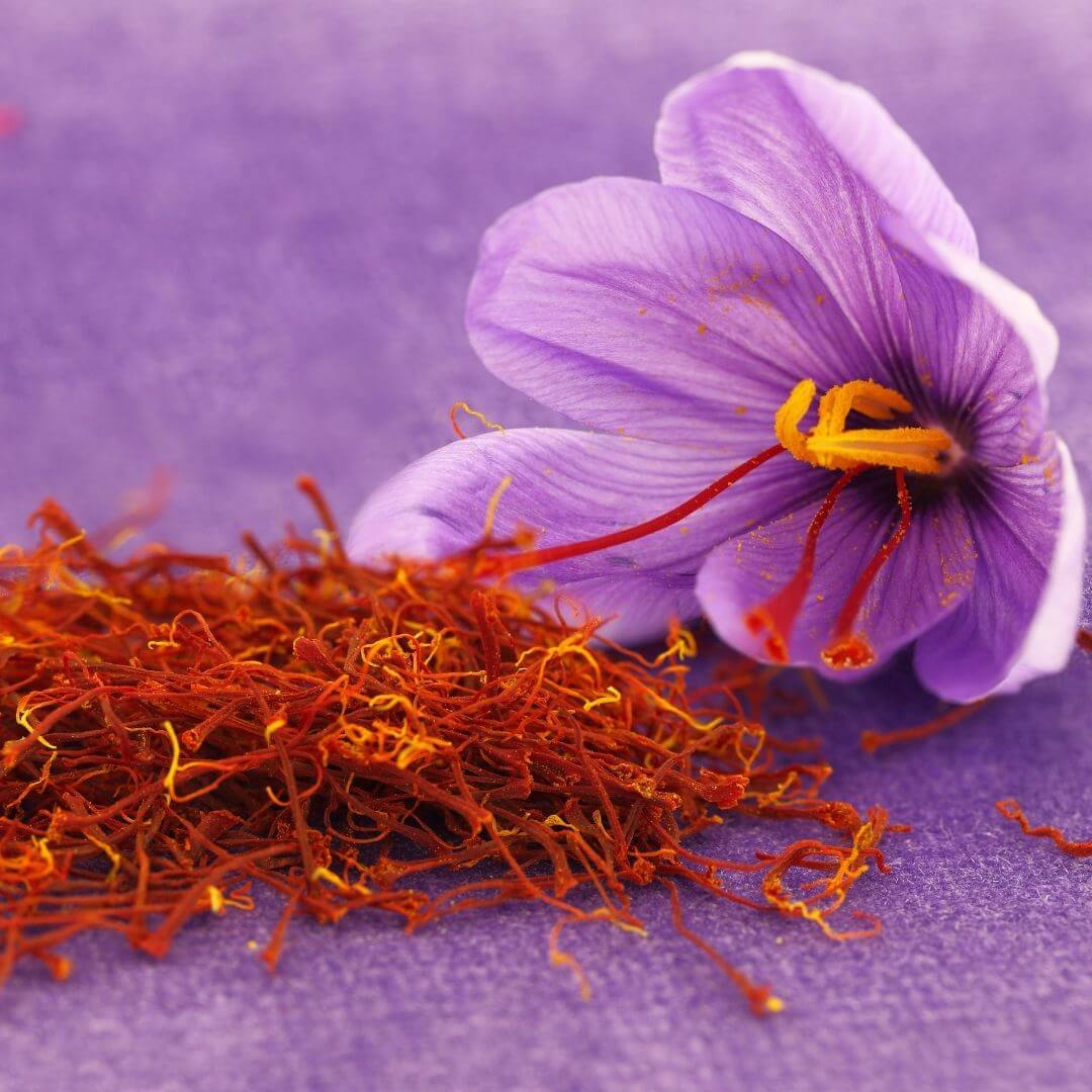 Saffron Fragrance Oil