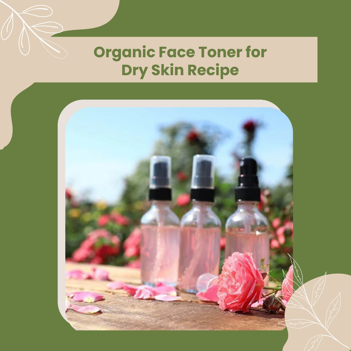 Organic Face Toner for Dry Skin Recipe