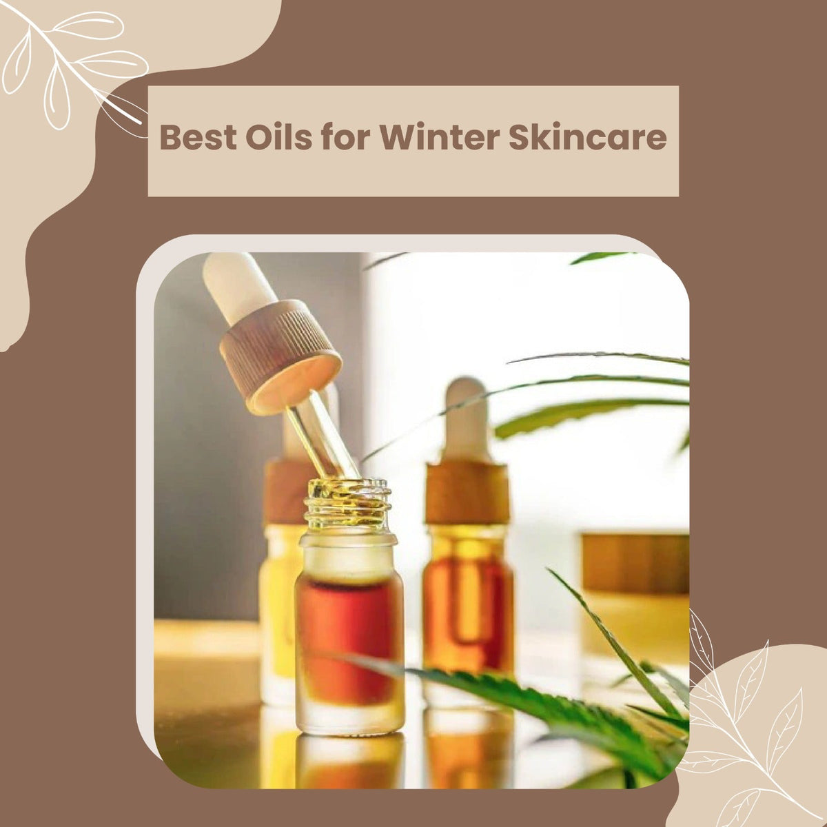 Best Oils for Winter Skincare