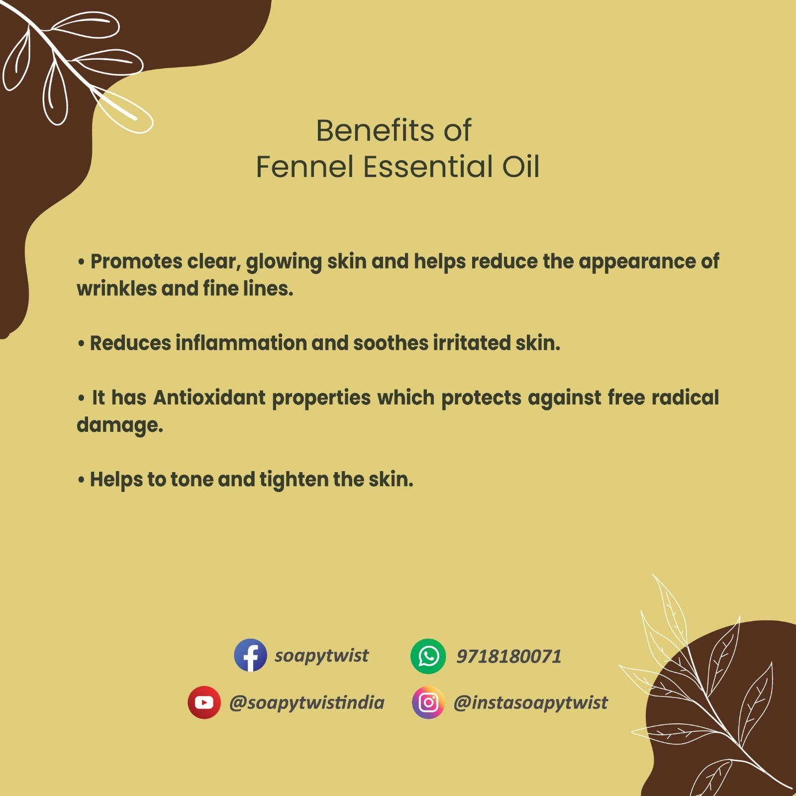 Fennel Essential Oil