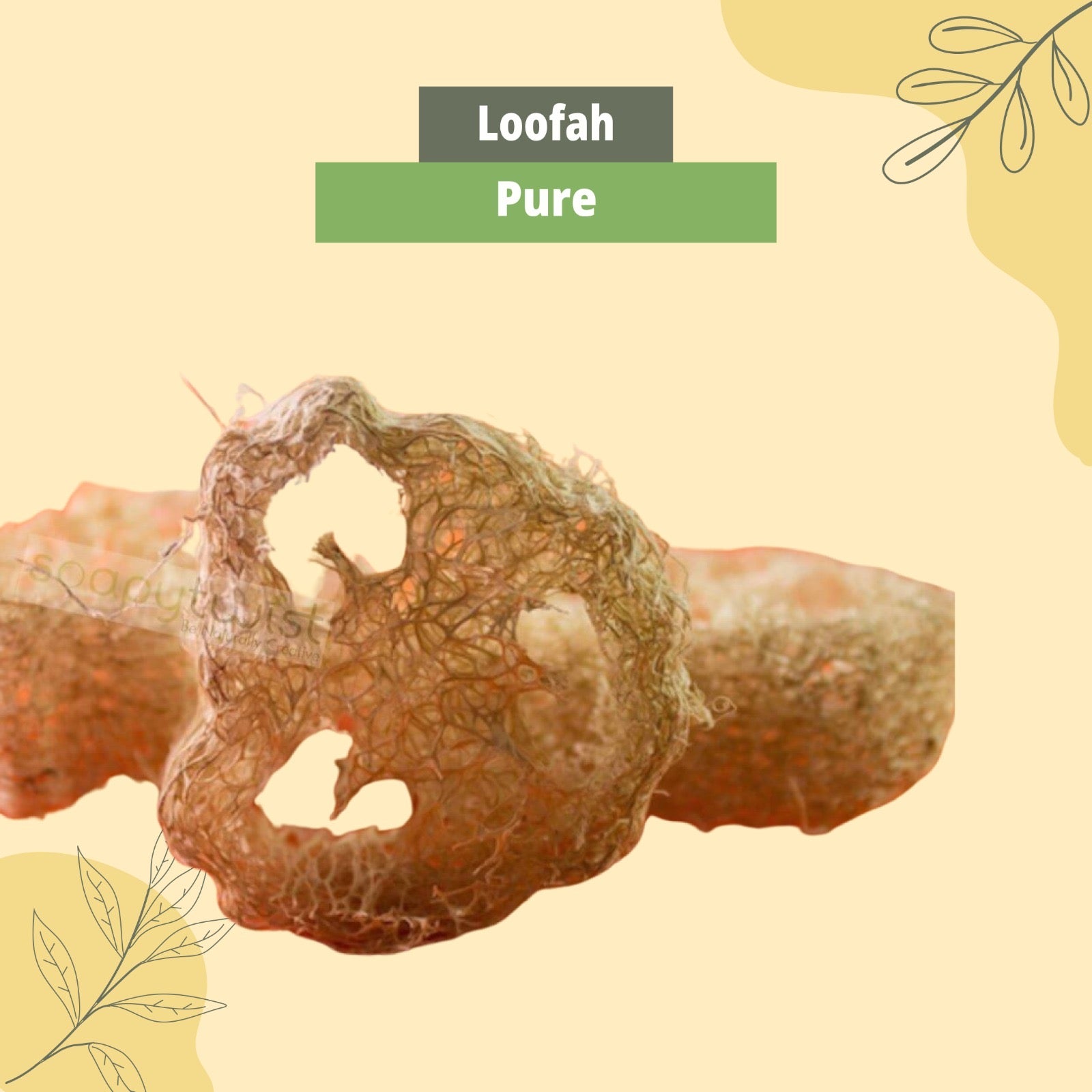 Natural Loofah