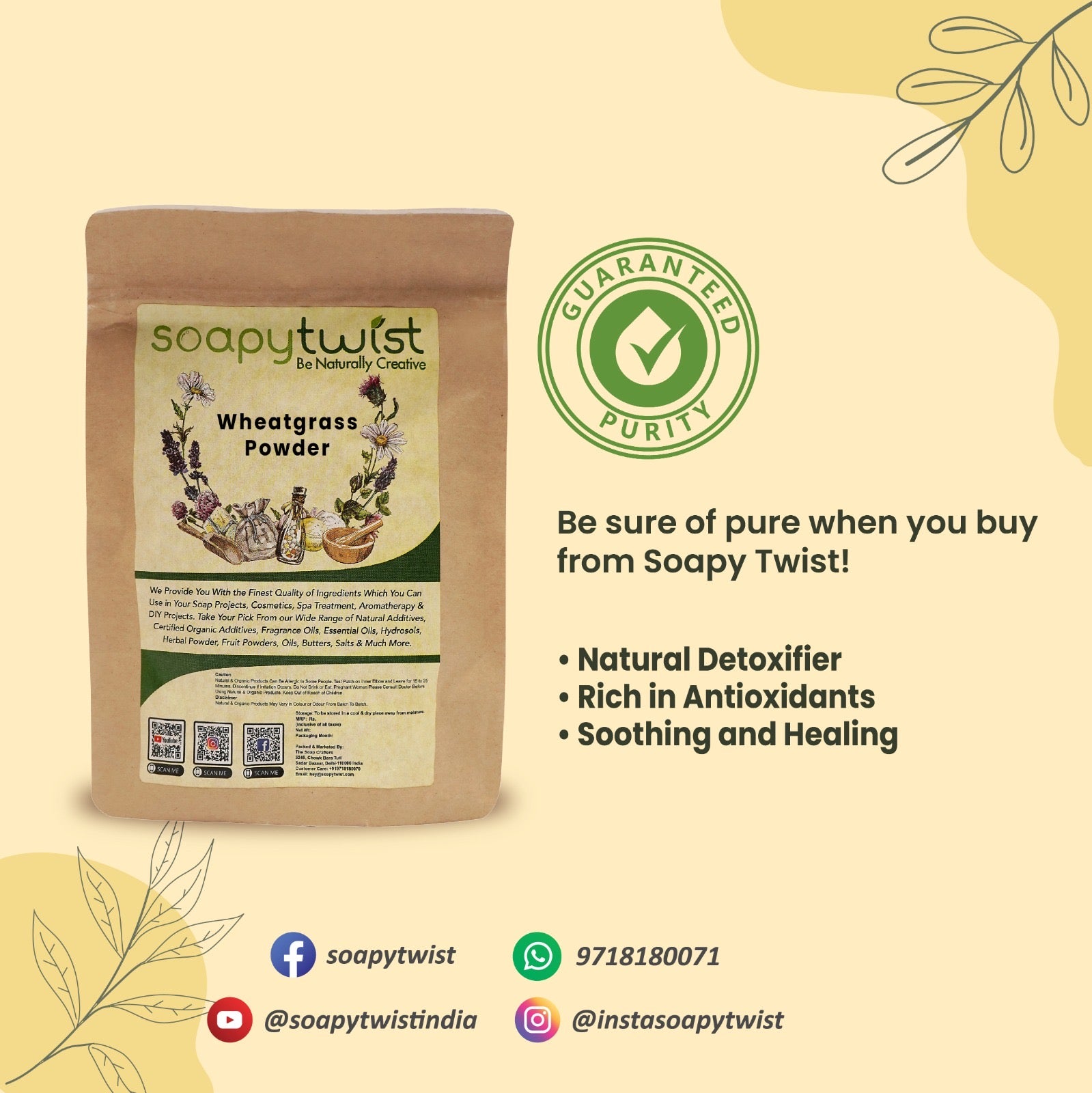 Wheatgrass Powder