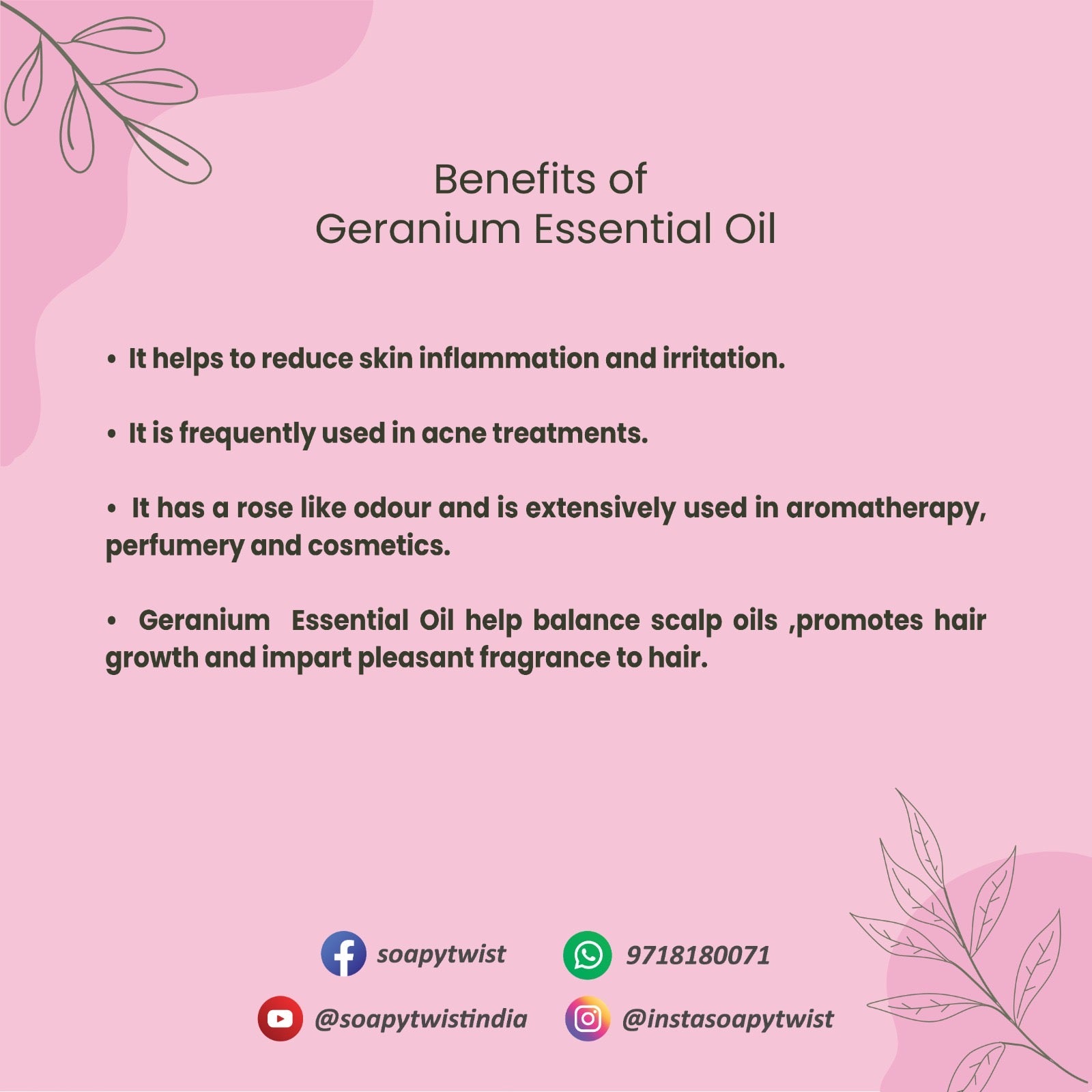 Benefits of Soapy Twist Geranium Essential Oil 