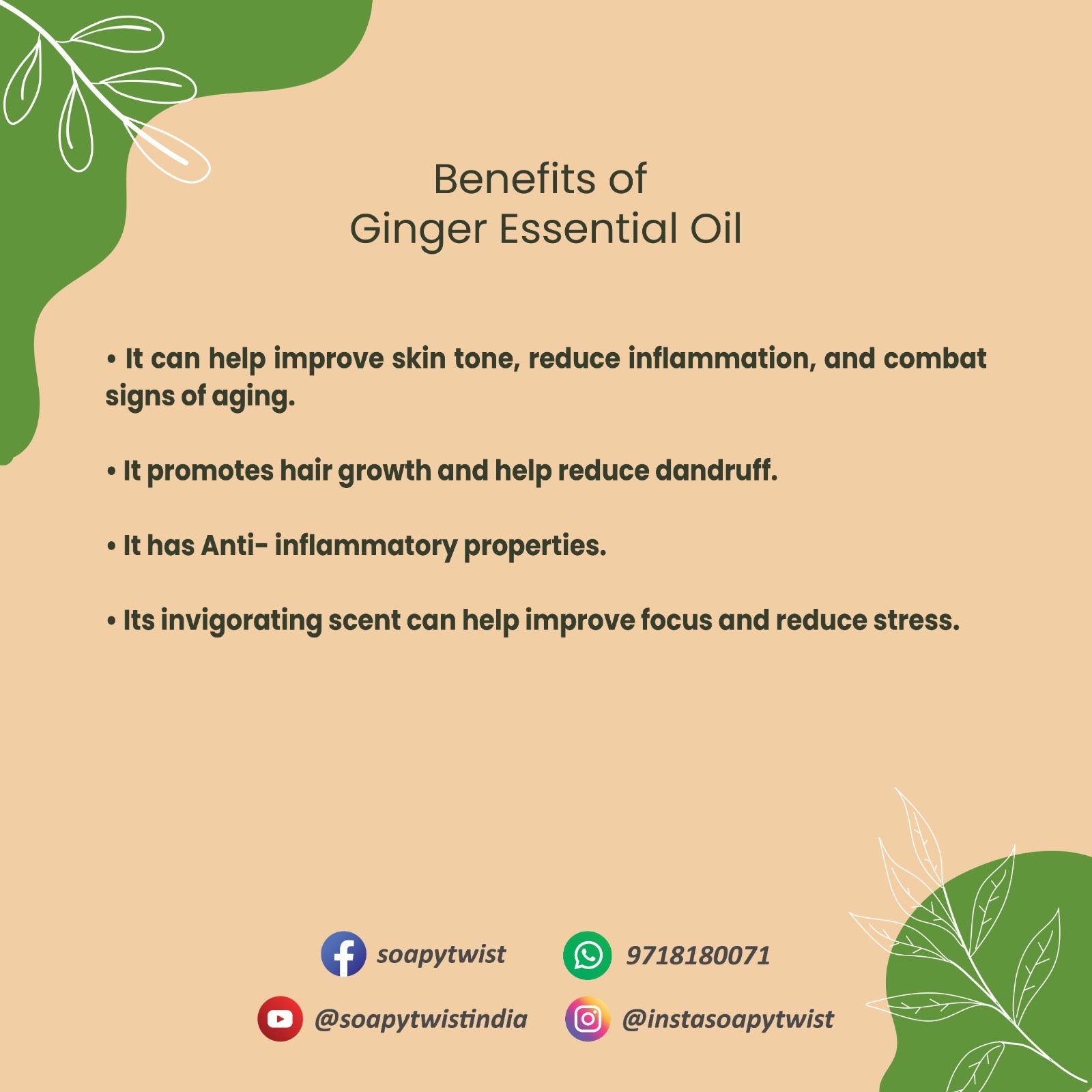 Benefits of Soapy Twist Ginger Essential Oil 