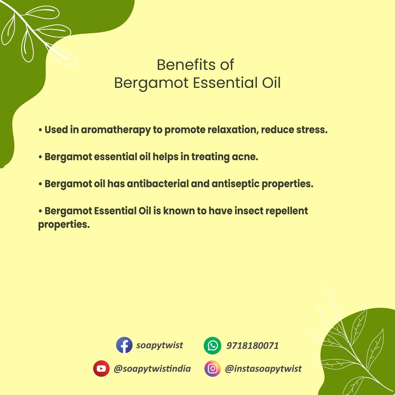 Soapy Twist Bergamot Essential Oil Benefits