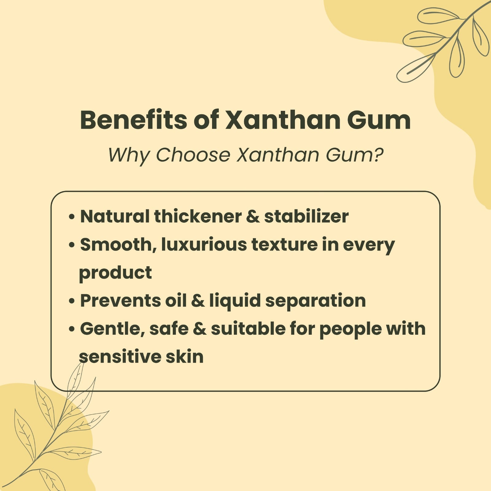 Xanthan Gum