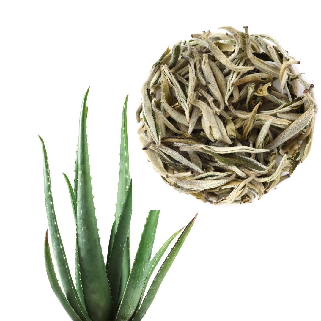 White Tea And Aloe Fragrance Oil