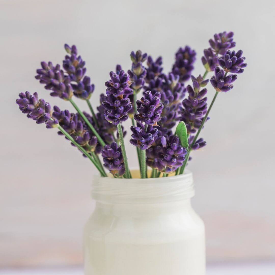 Lavender Fragrance Oil