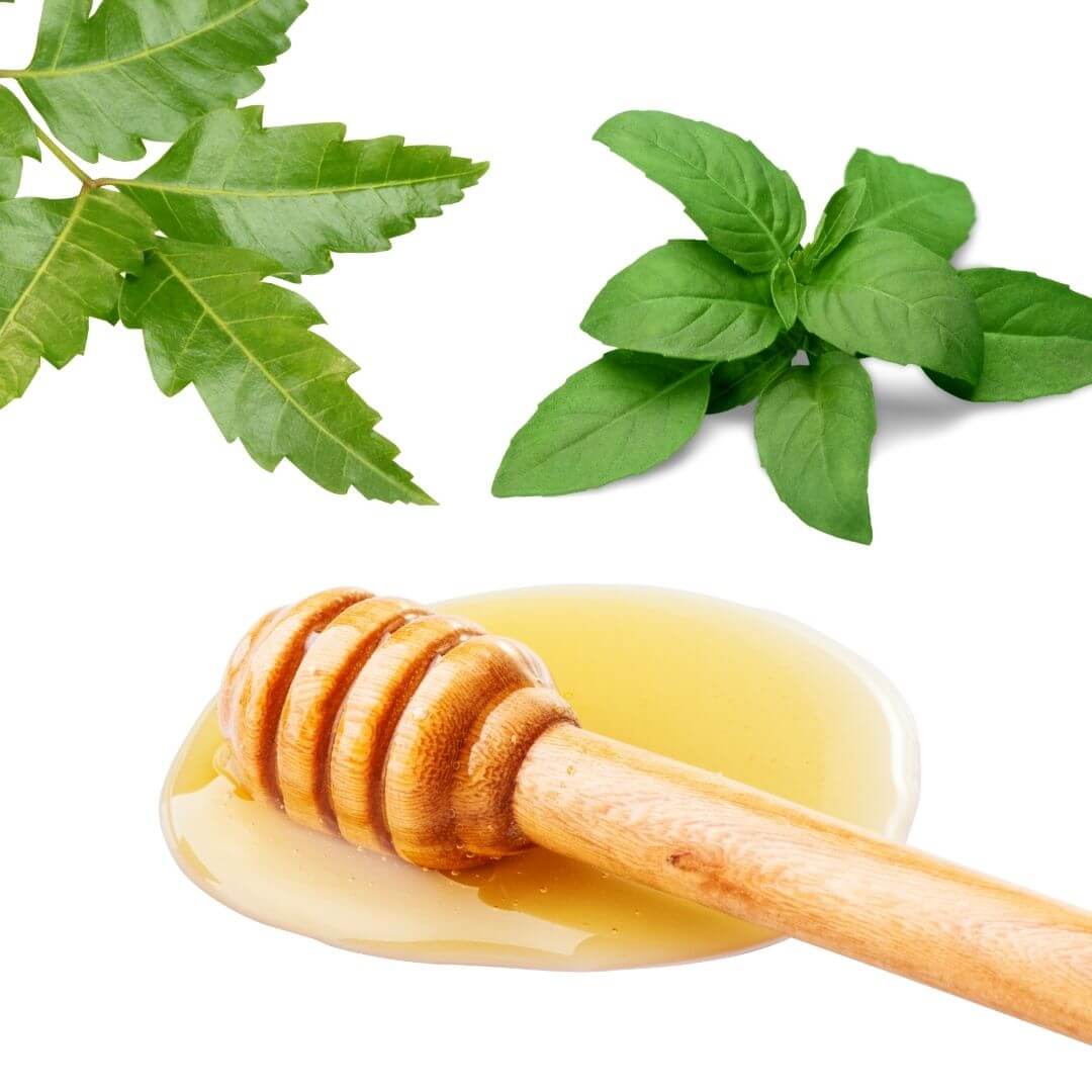 Neem Basil Honey Fragrance Oil