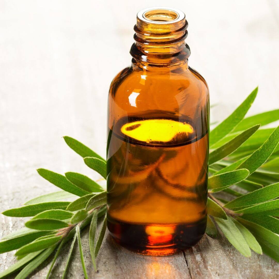 Tea Tree Essential Oil